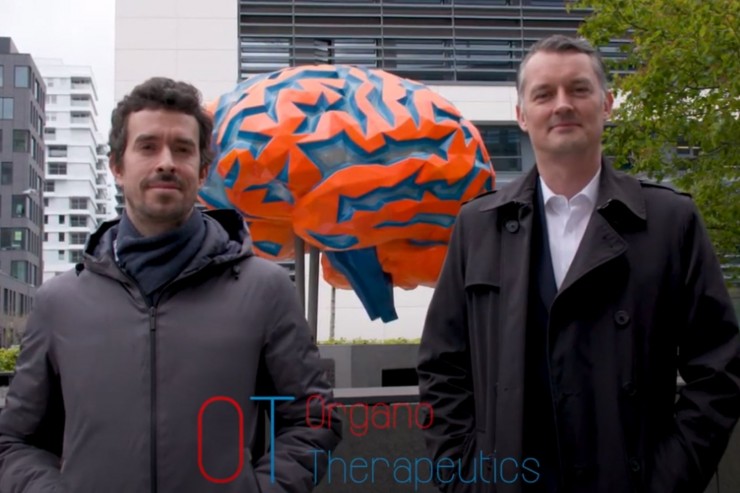 Jens Schwamborn: Mini-Gehirne gegen Parkinson
