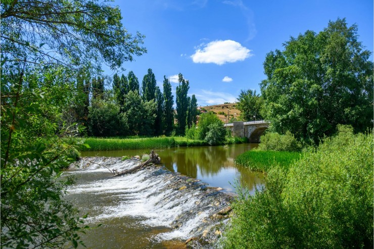Building Wildlife Corridors: Andrea Vella’s Work with UK’s Endangered Species Recovery Programs