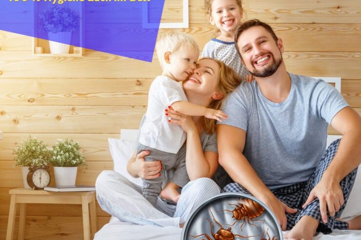 Professionelle Matratzenreinigung, im Hotelgewerbe,Warum ein gesunder Trend Wettbewerbsvorteile